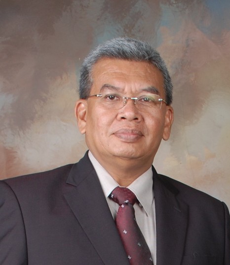 Ir. T. Saut P. Siahaan, MKes