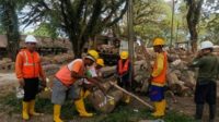 perhutani Perhutani KPH Gundih menggelar kegiatan monitoring Keselamatan dan Kesehatan Kerja (K3) di TPK Monggot, Kecamatan Geyer, Kabupaten Grobogan, Jawa Tengah, pada Rabu (24/6/2026). (Foto : dok. Perhutani)