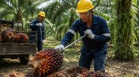 Ilustrasi penerapan K3 pada pekerja di industri swait. Ilustrasi penerapan K3 pada pekerja di industri swait.